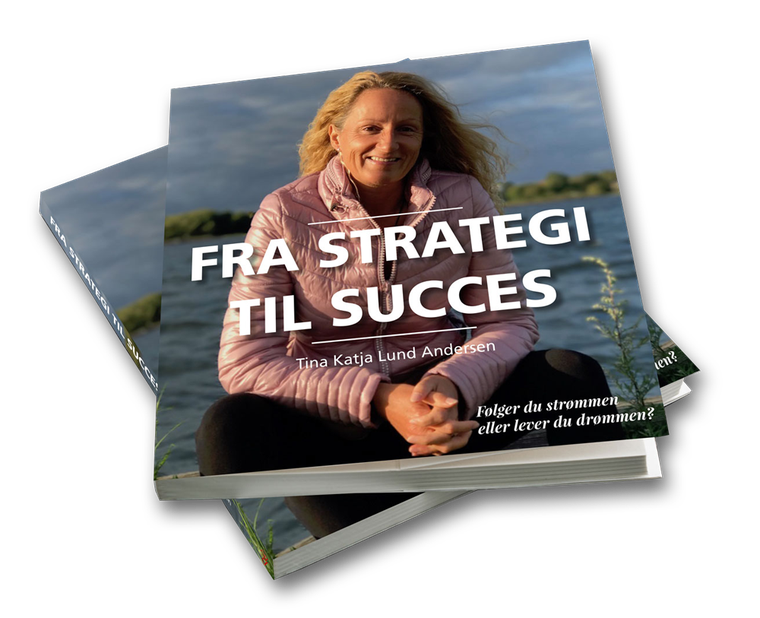 Bogen Fra Strategi til Succes af Tina Katja Lund Andersen